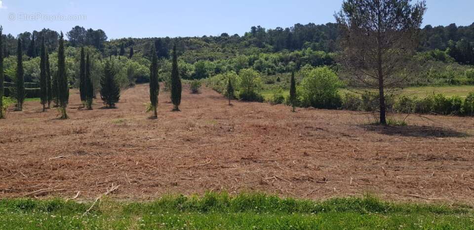 Terrain à VILLEGAILHENC