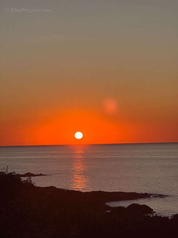 Maison à ALBITRECCIA