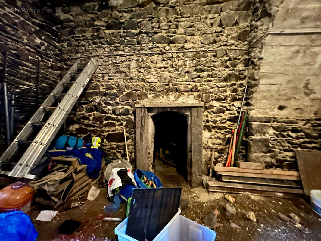 CHATEAUGAY - Maison de bourg Auvergnate de 101 m2, 3 chambres, garage, cave et parking double. - photo 26