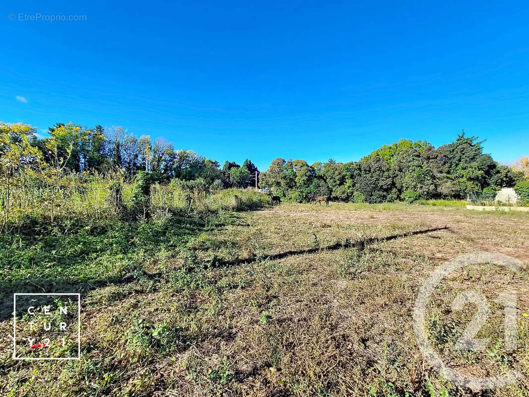 Terrain à MILLAS
