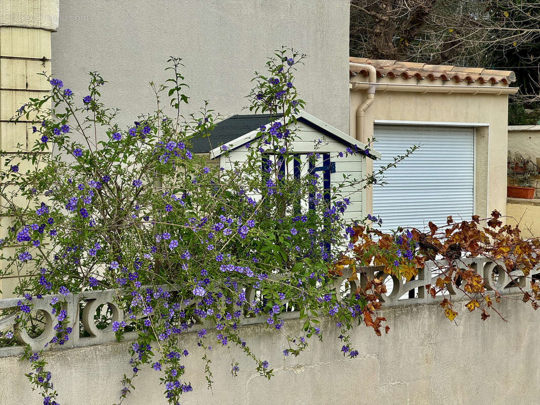 Maison à BALARUC-LES-BAINS