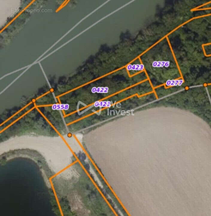 Terrain à GERMIGNY-L'EVEQUE