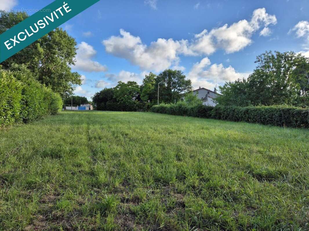 Photo 4 - Terrain à ARVERT