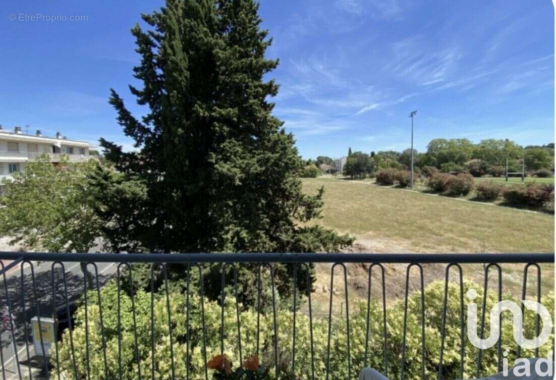 Photo 2 - Appartement à MONTPELLIER