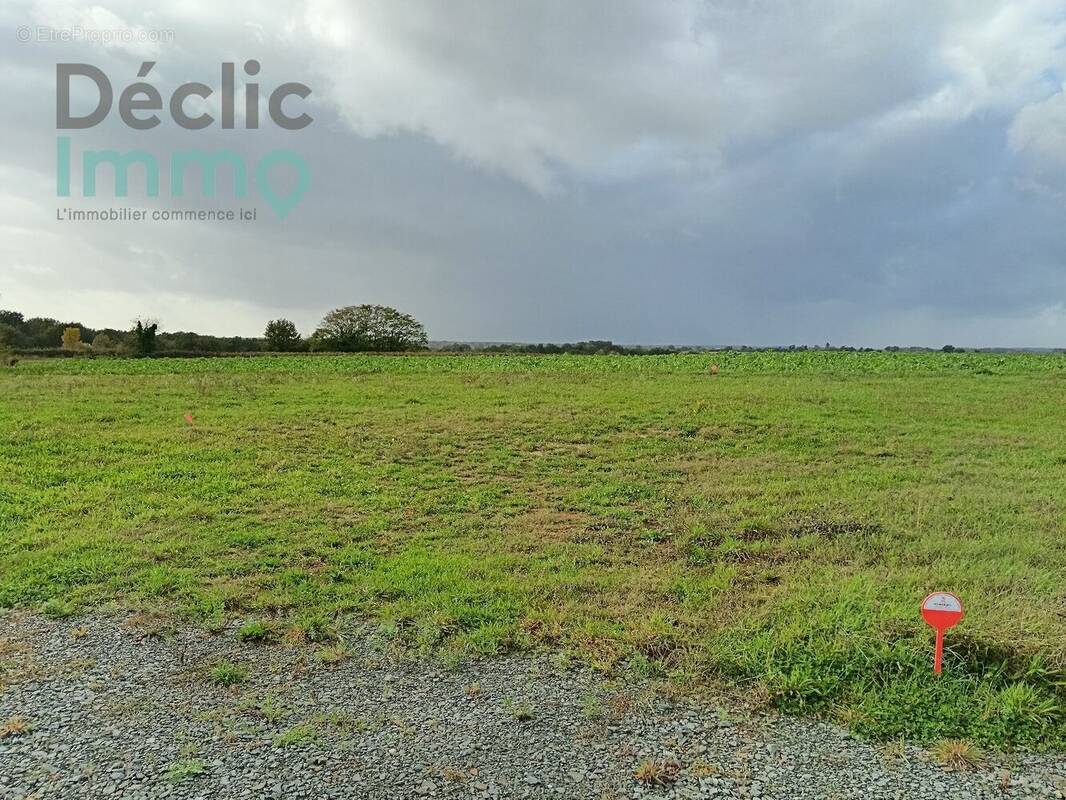 Terrain à TAILLEBOURG