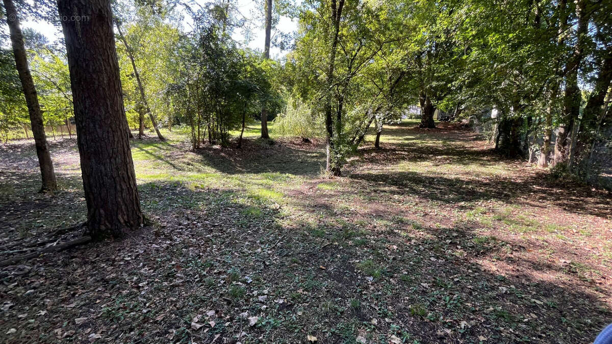 Maison à SAINT-CHRISTOPHE-EN-BAZELLE