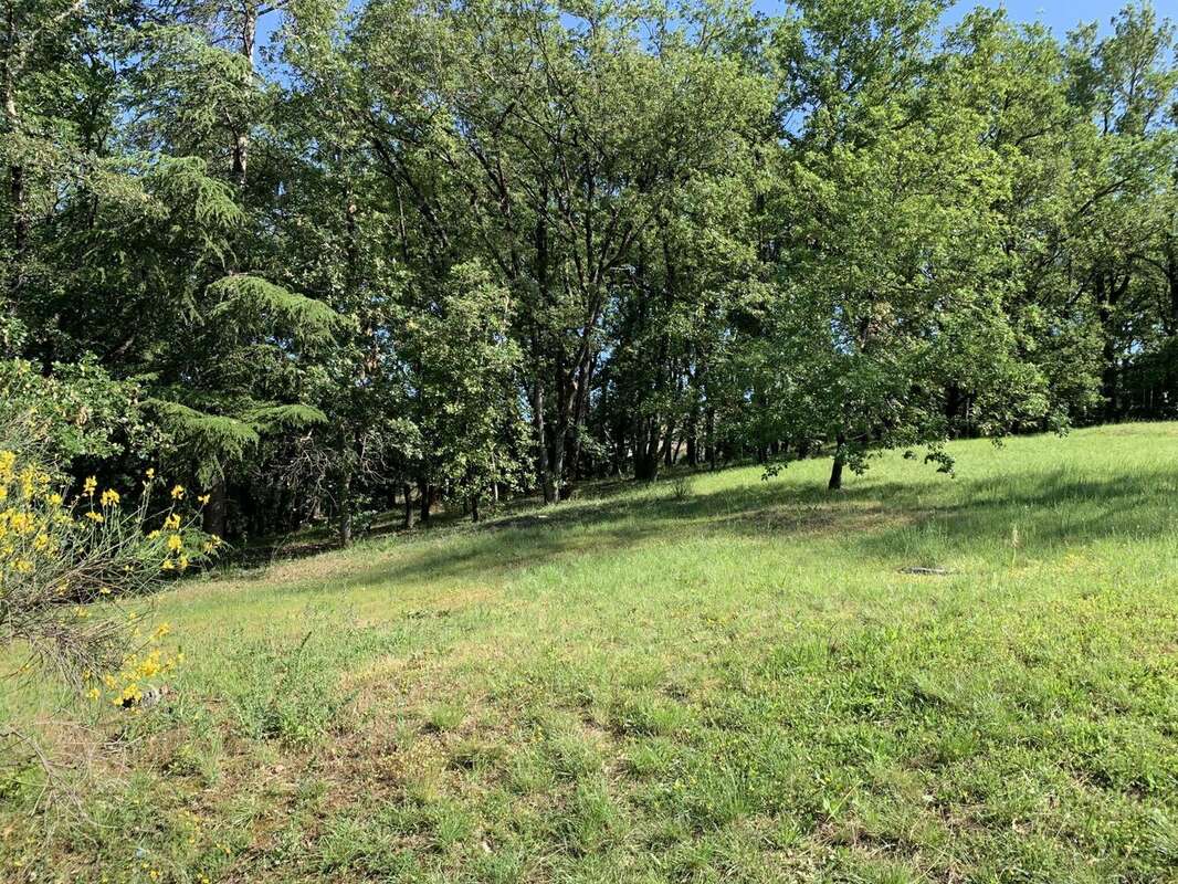 Photo 5 - Terrain à ALBI