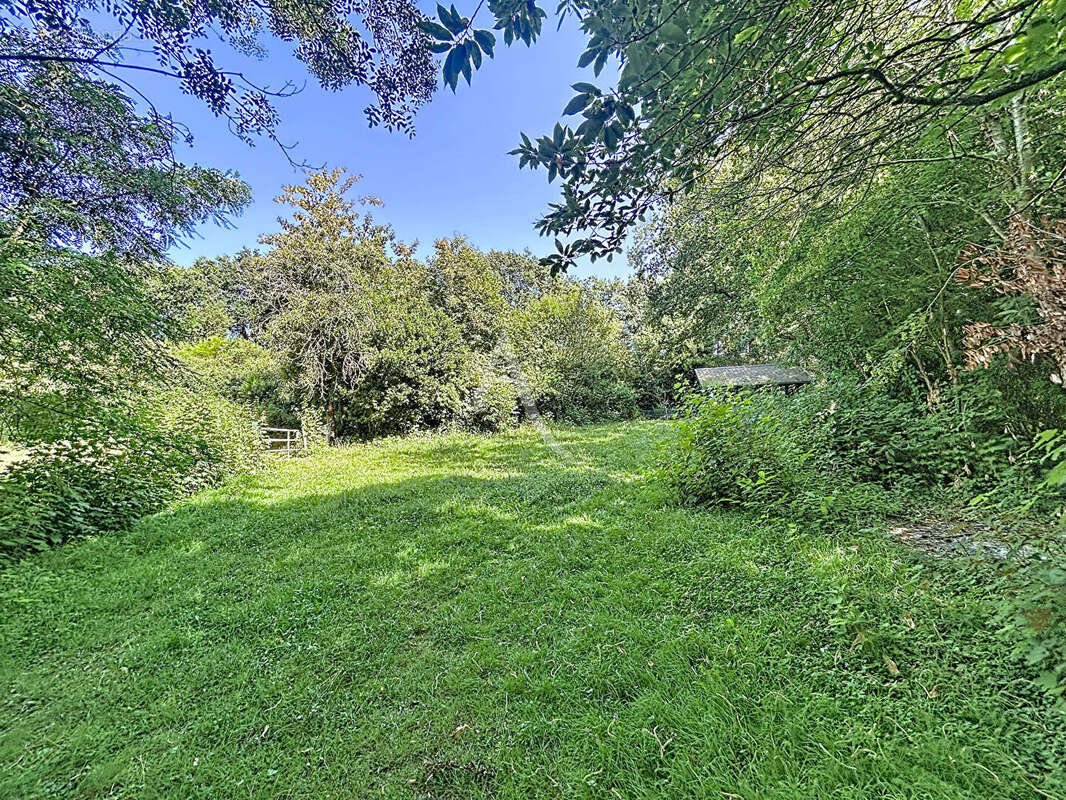Terrain Loigne Sur Mayenne 23946 m2 - photo 12