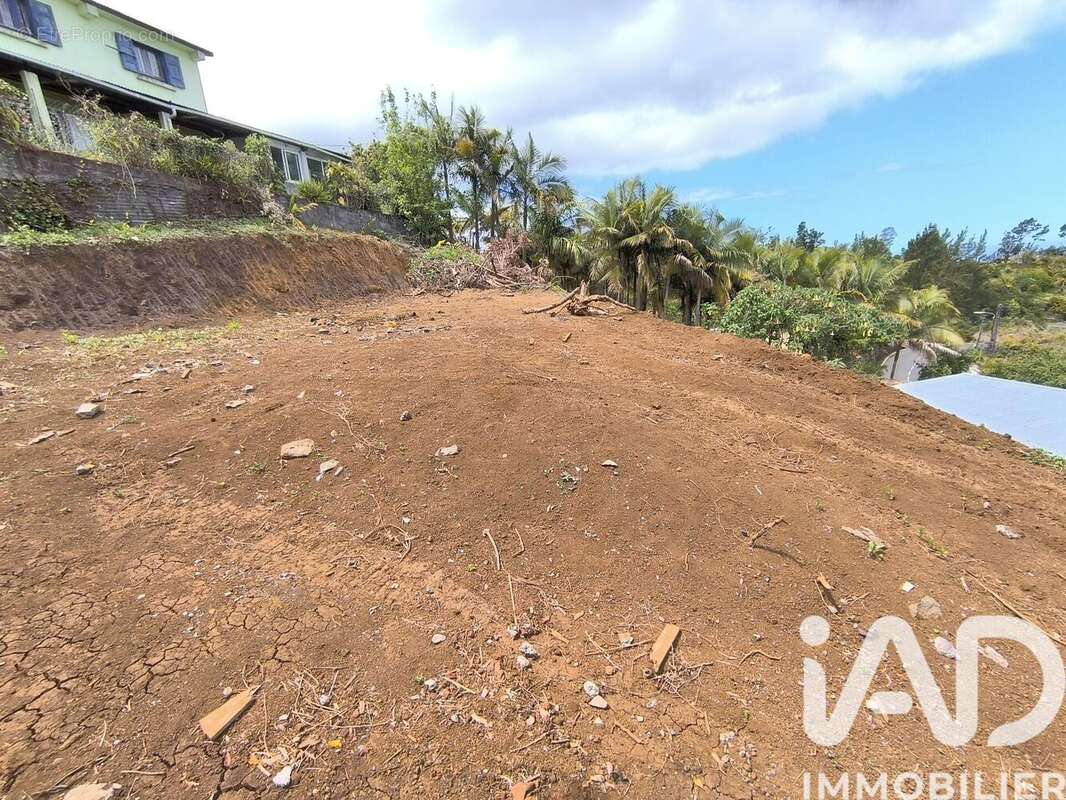 Photo 6 - Maison à PETITE-ILE