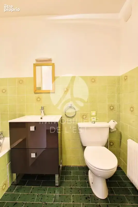 T1 bis - monplaisir - 38m² - photo 6