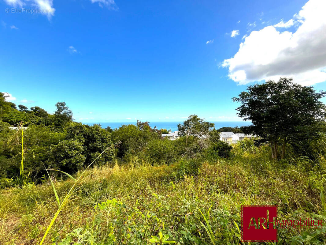 Terrain à SAINT-PAUL