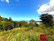 Terrain à SAINT-PAUL