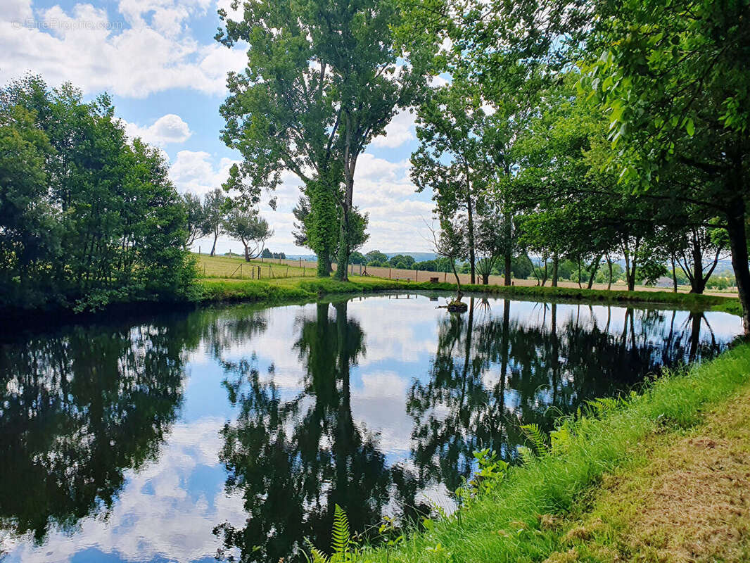 REGION MORTAIN BOCAGE - propriété avec étangs - photo 2