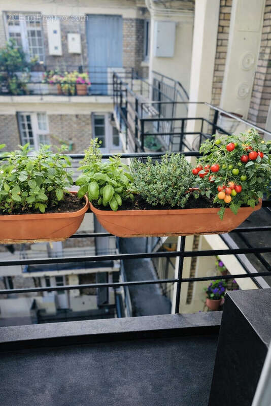 balcon parisien  - Appartement à NEUILLY-SUR-SEINE