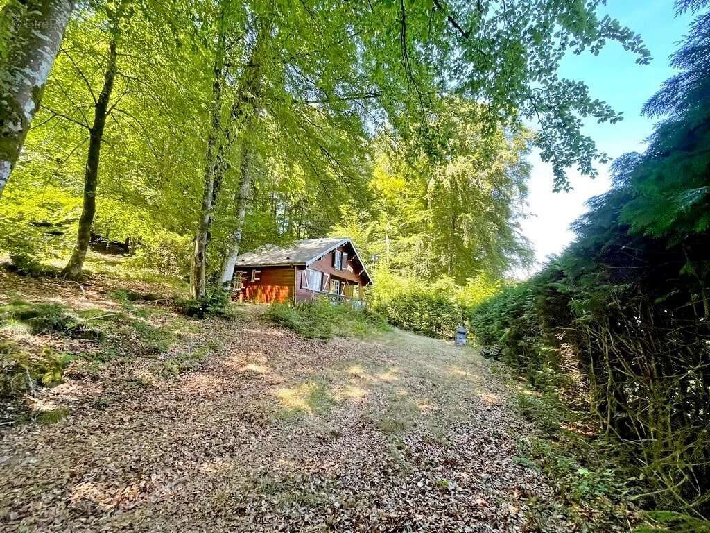 Exclusivité/Bourgogne, Parc du Morvan, Secteur GOULOUX, chalet 49 m² environ sur plus de 3000 m² de terrain boisé. - photo 2