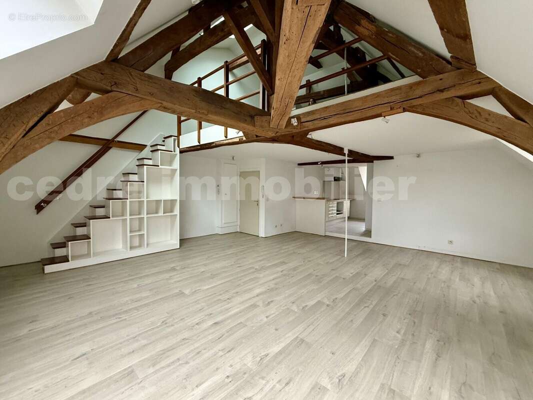 IMG_3502 - Appartement à ORLEANS