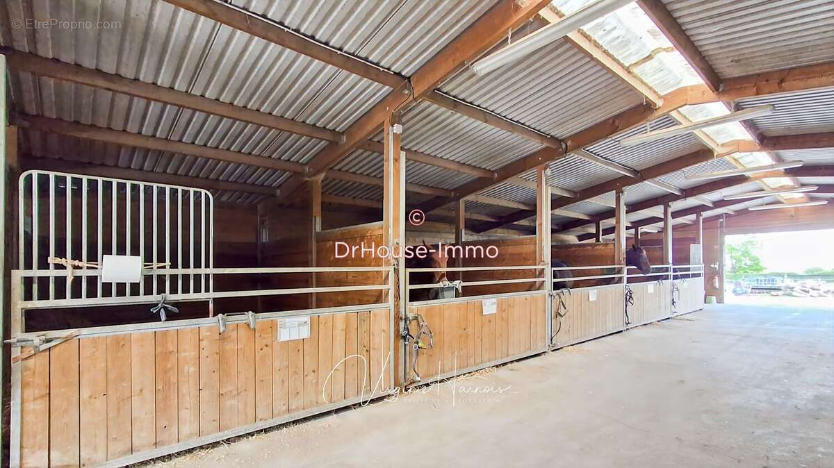 Maison 220 m² à Saint-Mars-Du-Desert  - photo 5