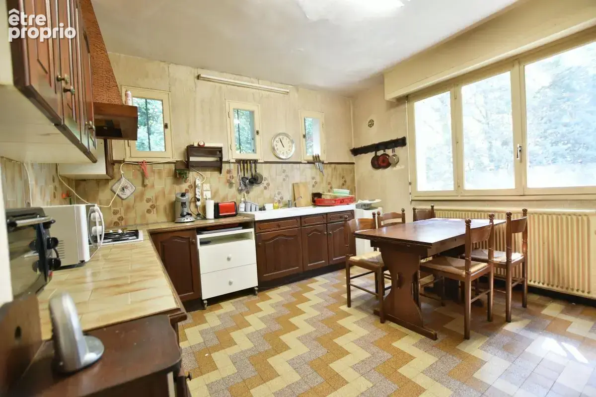 Lyon 5 : grande maison à rénover dans immense parc boisé - photo 9