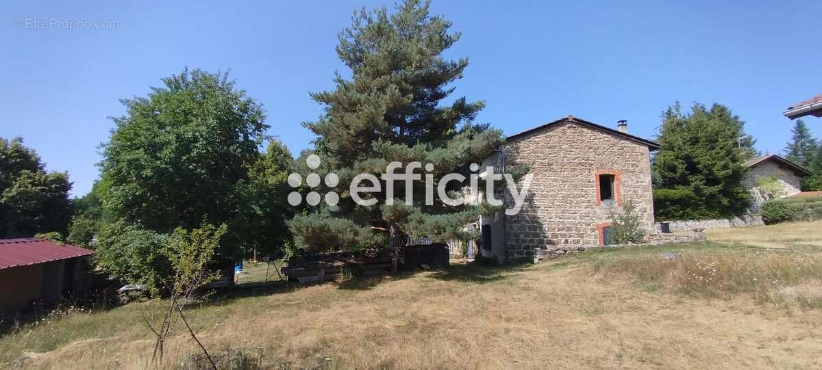 Maison 250 m² à Usson-En-Forez  - photo 34