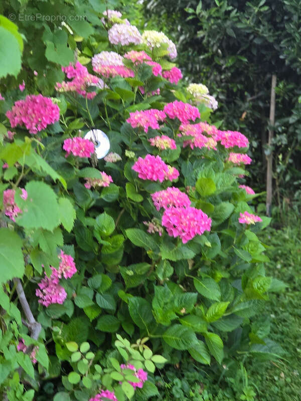 Maison à NOTRE-DAME-DE-MESAGE