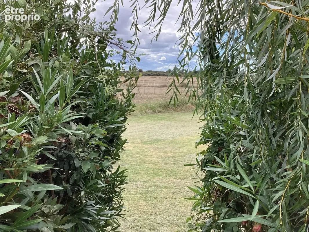 VUE DEPUIS LA TERRASSE