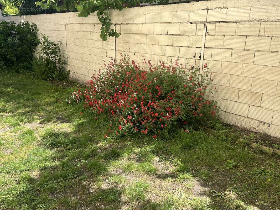 Appartement à BOIS-COLOMBES