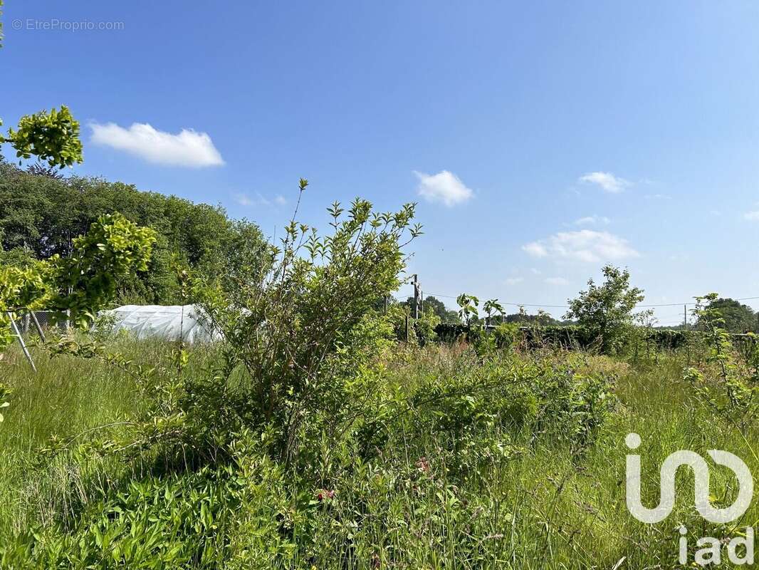 Photo 9 - Maison à SAINT-BRIEUC-DE-MAURON