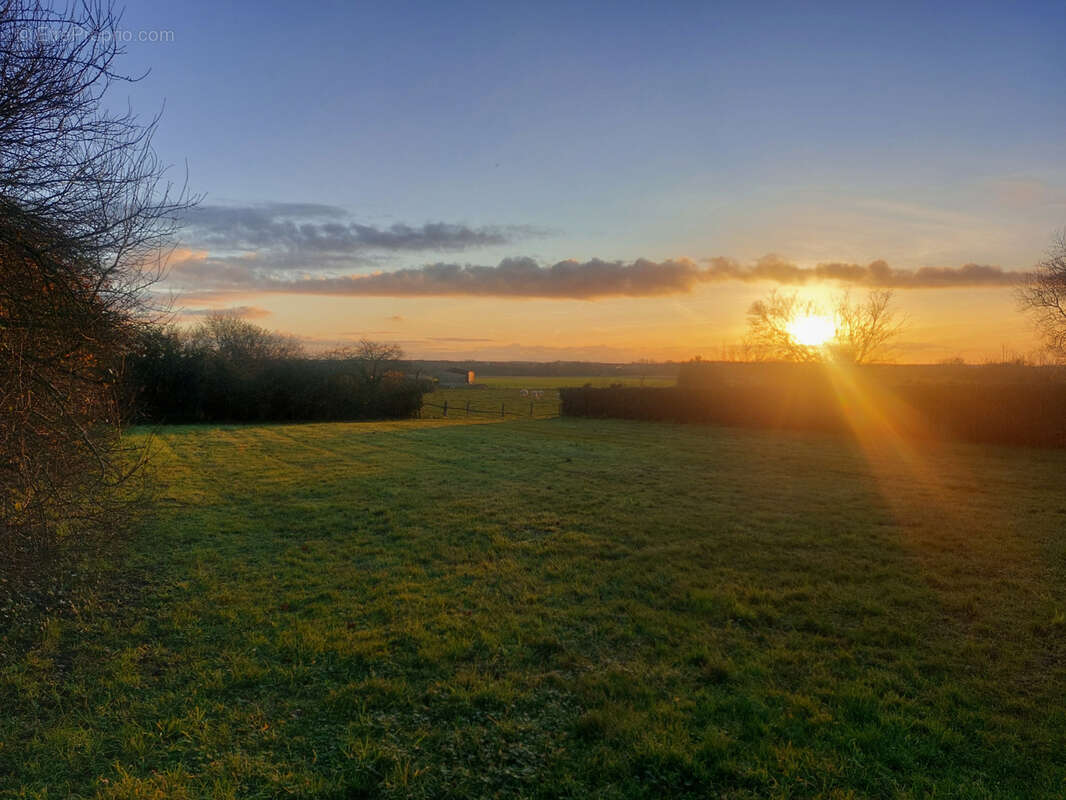 Terrain à LUCHE-PRINGE