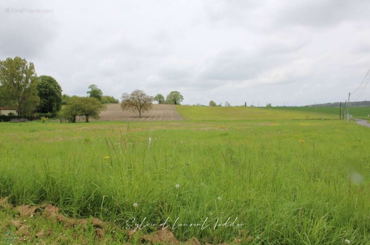 Terrain à SOUSMOULINS