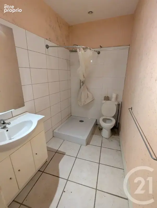 Maison 9 pièces 264 m² à vendre à Villemur-Sur-Tarn (31340) - photo 9
