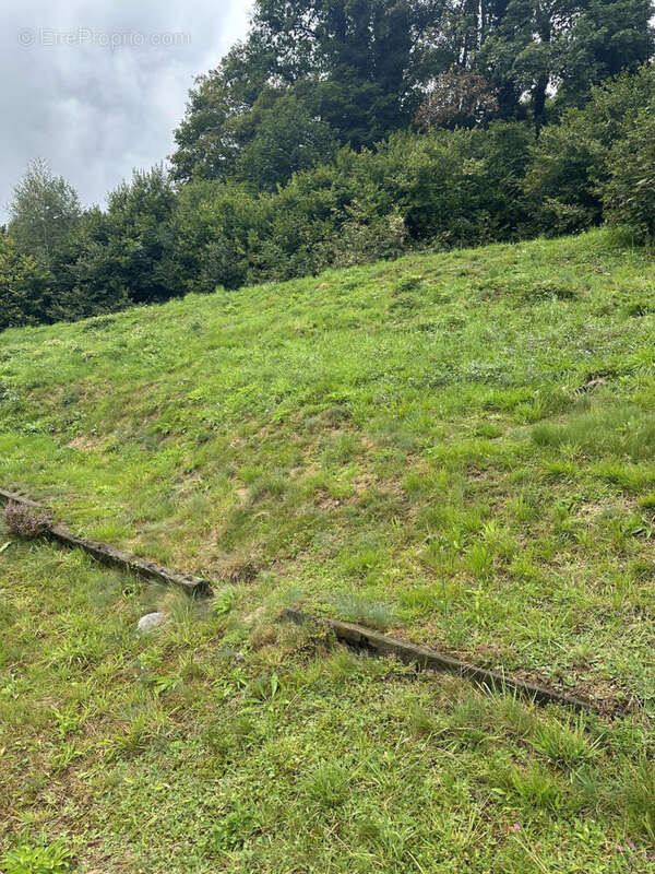 IMG_0845 - Maison à LE MENIL