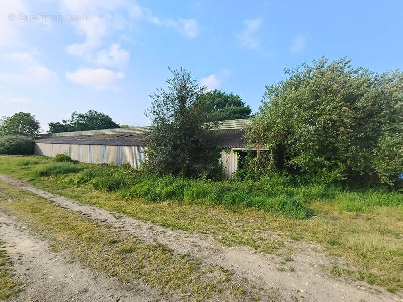 Commerce à PLOUNEVEZEL