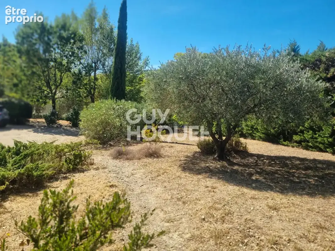 Clermont- l'Herault - Maison de caractère, piscine et parc arboré de 2 000 m² - photo 16