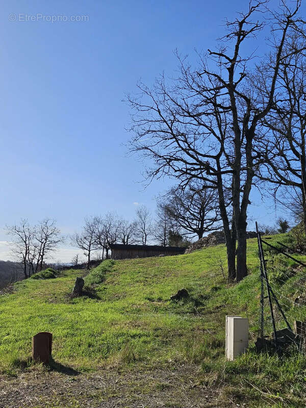 Terrain à SEBAZAC-CONCOURES