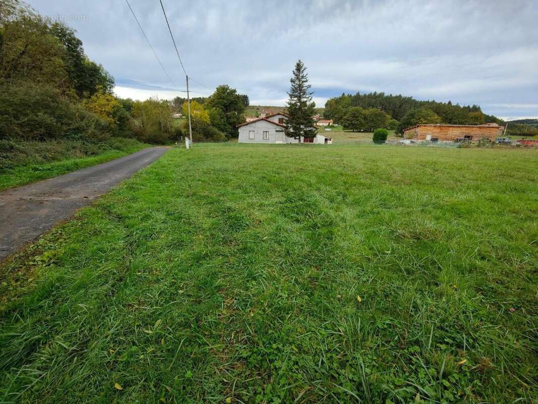 Terrain 3000 m² à Sugeres  - photo 3