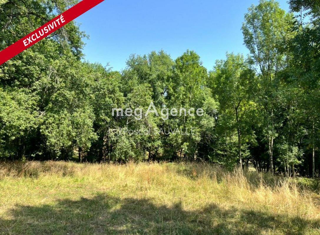 Terrain à CHANTERAC