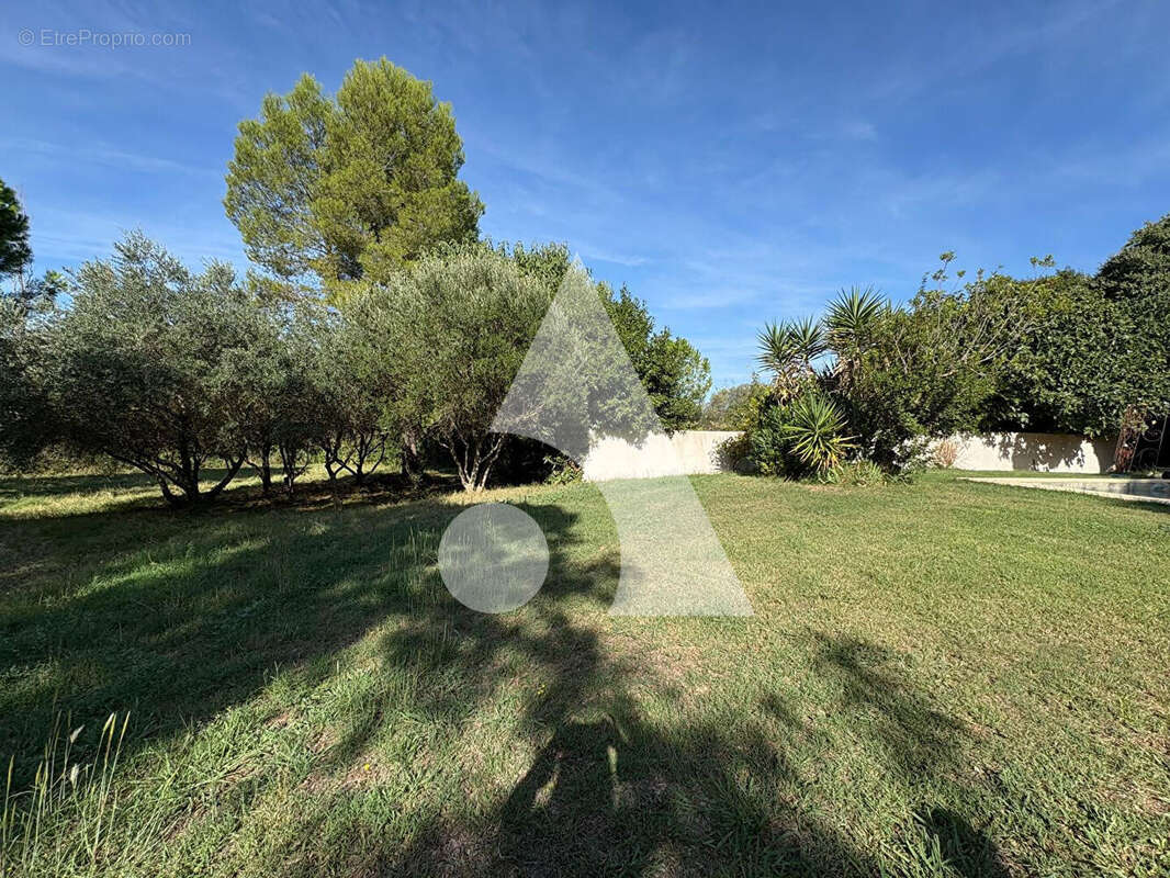 Terrain à LE POUGET