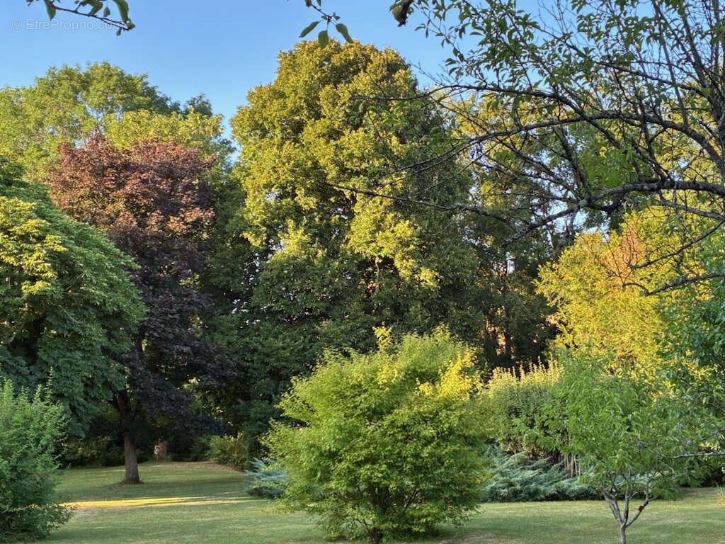 Maison à AIX-EN-OTHE