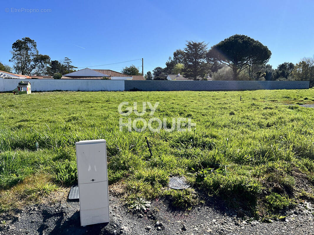 Terrain à NOTRE-DAME-DE-RIEZ