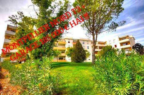Appartement à MONTPELLIER
