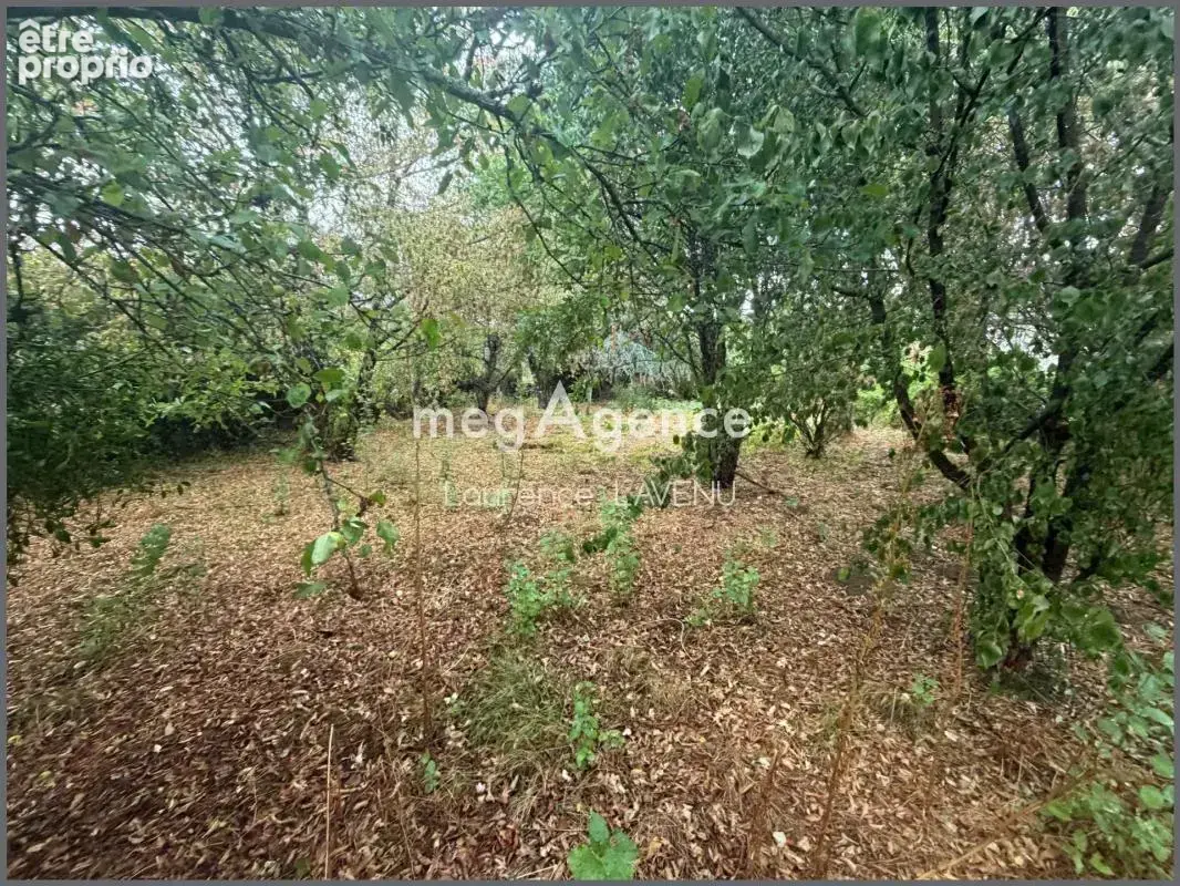 Maison avec le nécessaire en plain-pied - photo 2