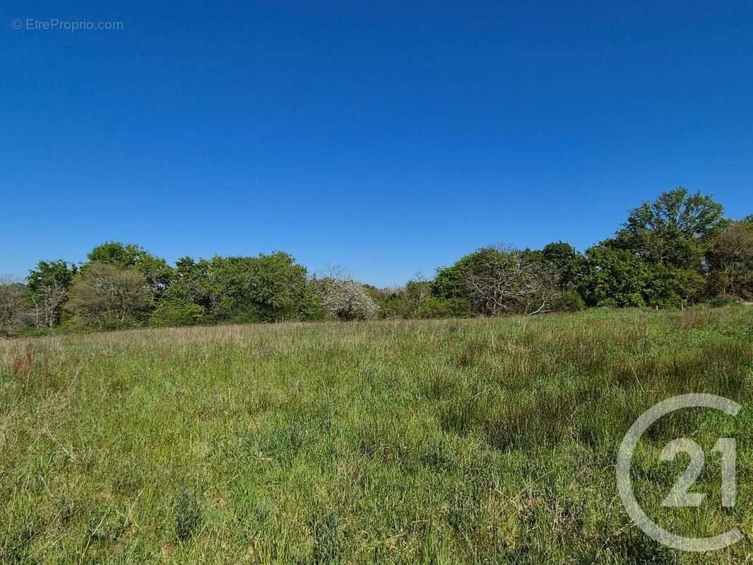 Terrain à SAINT-MEDARD