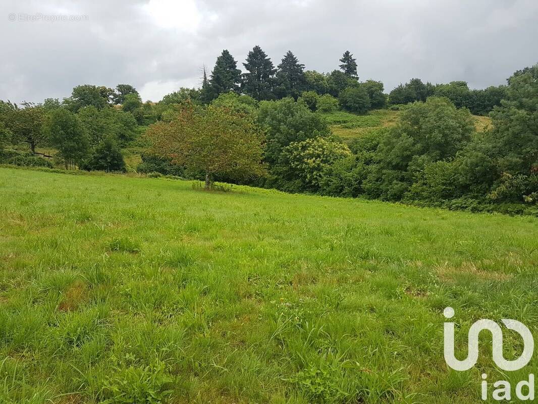 Photo 1 - Terrain à BEAUMONT