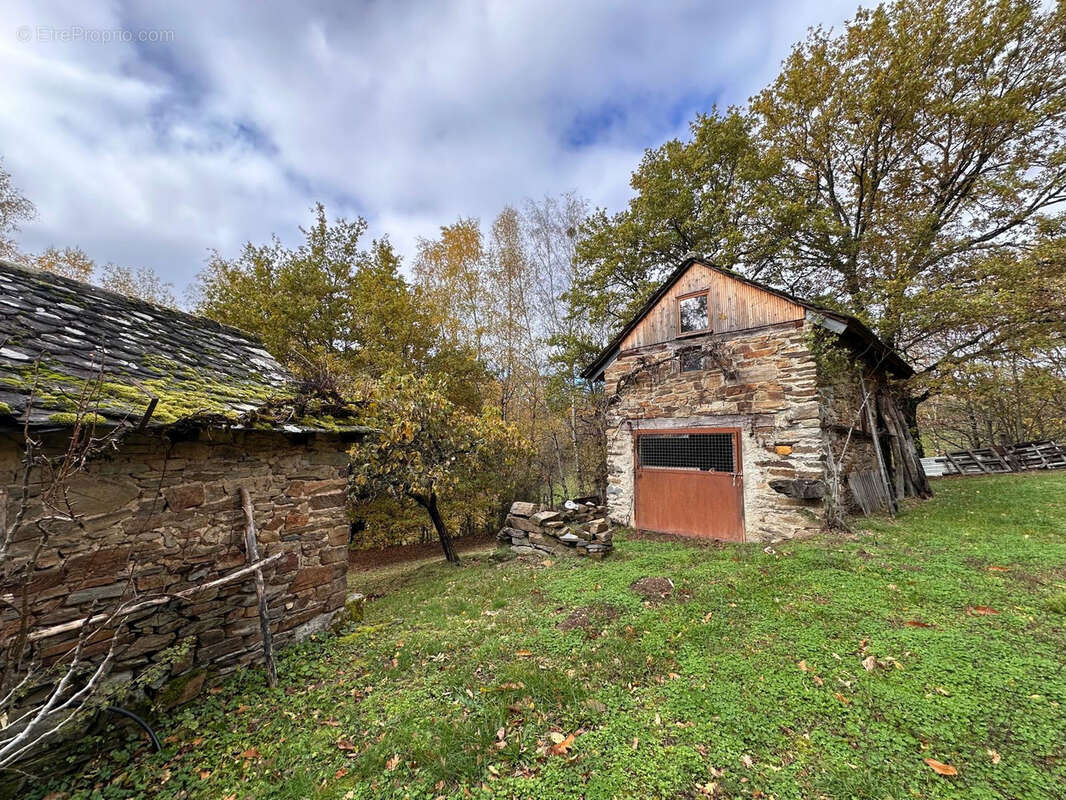Terrain à SAINT-HIPPOLYTE