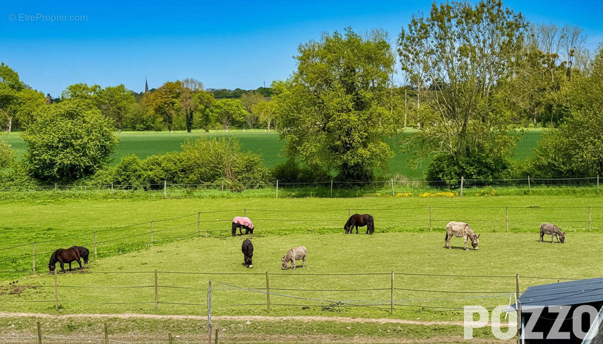 A Vendre - Propriété de 250m² avec terrain - Idéal chevaux - photo 6