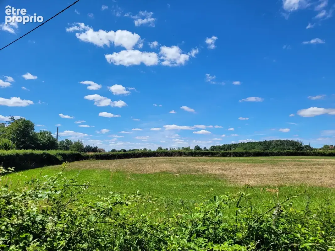 Terrain plat constructible de 3 500 m² à Chantelle - photo 2