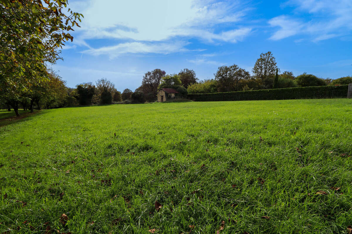 Terrain à SALIGNAC-EYVIGUES