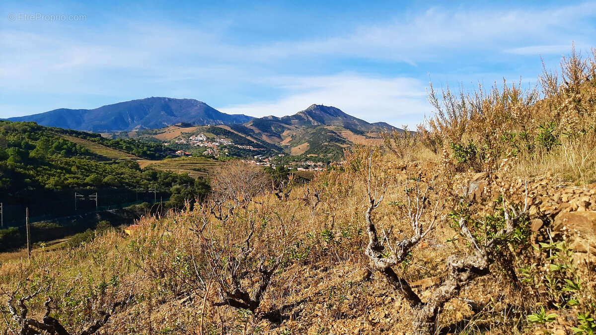 Terrain à BANYULS-SUR-MER