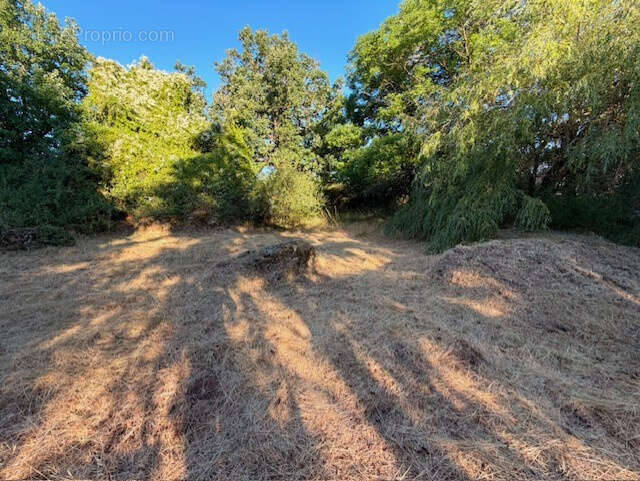 5 848 m2 constructibles-une grande maison- PLATEAU DU LARZAC : 1h de Montpellier - photo 23