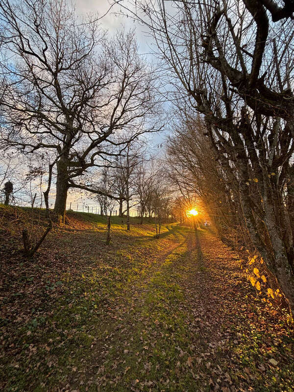 Maison à MORNAY-SUR-ALLIER